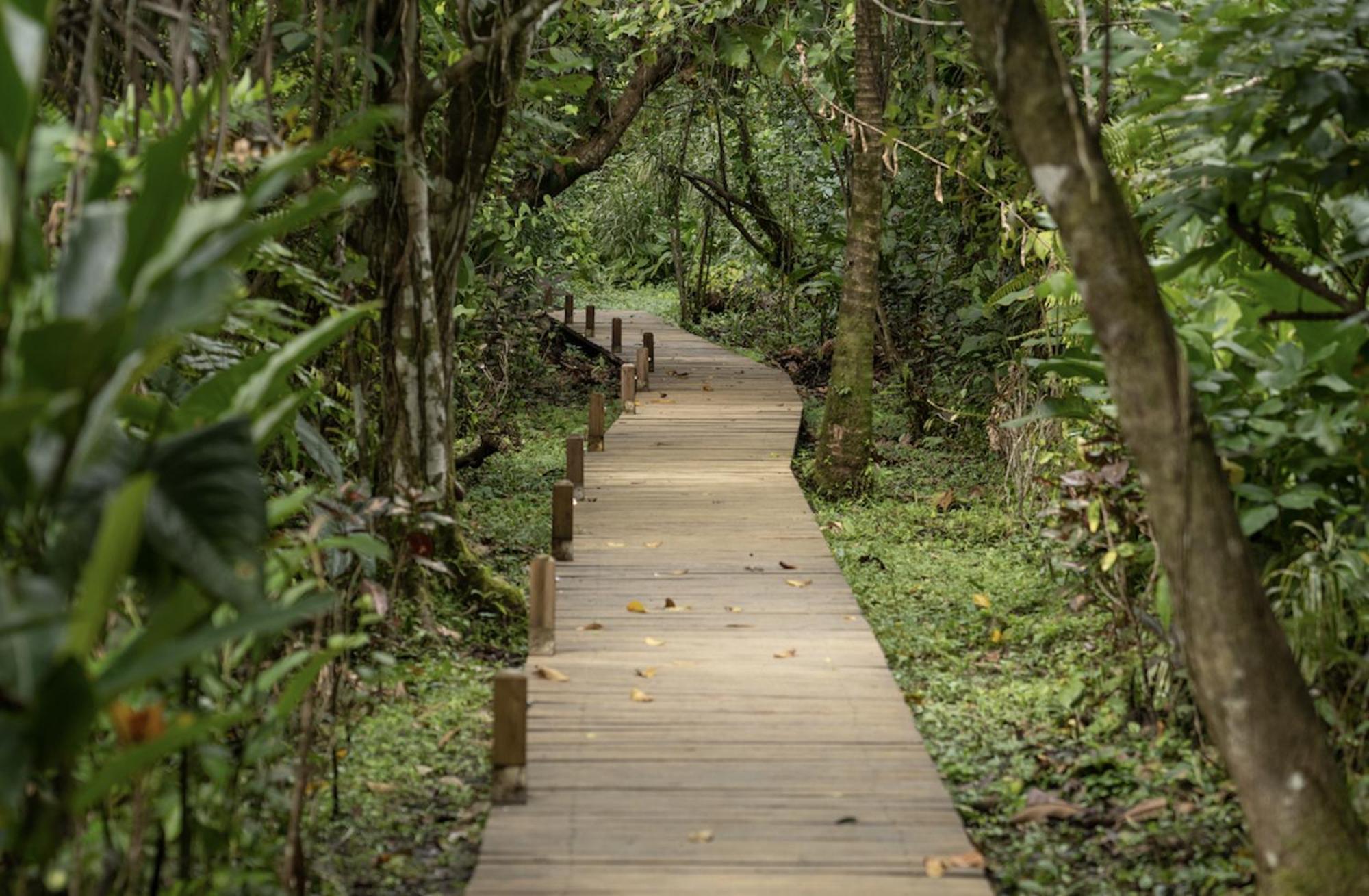 Casa Cayuco Eco-Adventure Lodge Bocas Town Exterior foto